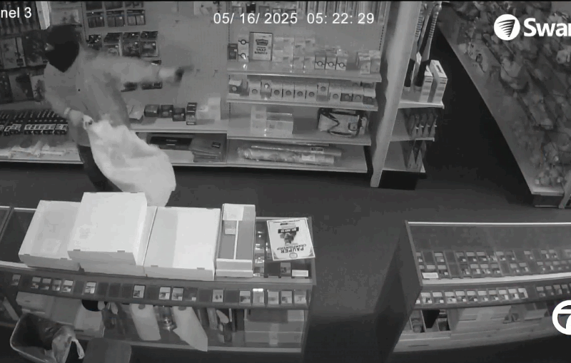 Hammer Heists in Detroit: Pokémon Craze Inspires Bold Break-Ins